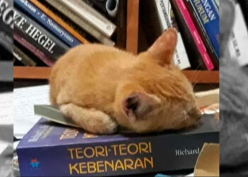 Teori Kebenaran Itu Musuhnya Nafsu dan Ambisi