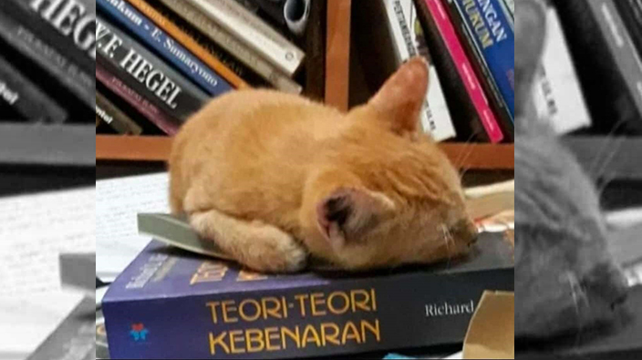 Teori Kebenaran Itu Musuhnya Nafsu dan Ambisi